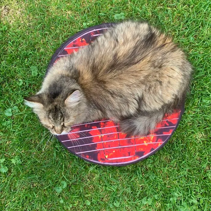Loaf On BBQ