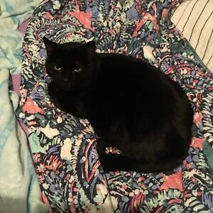 Bella says you matter she\they
