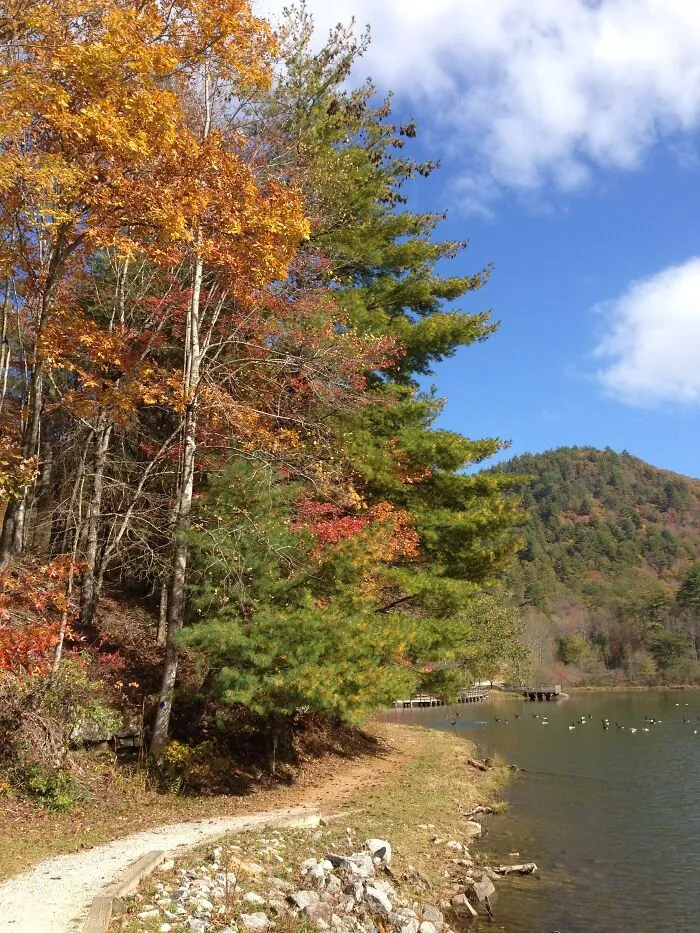 Black Rock Mtn Park In Ga