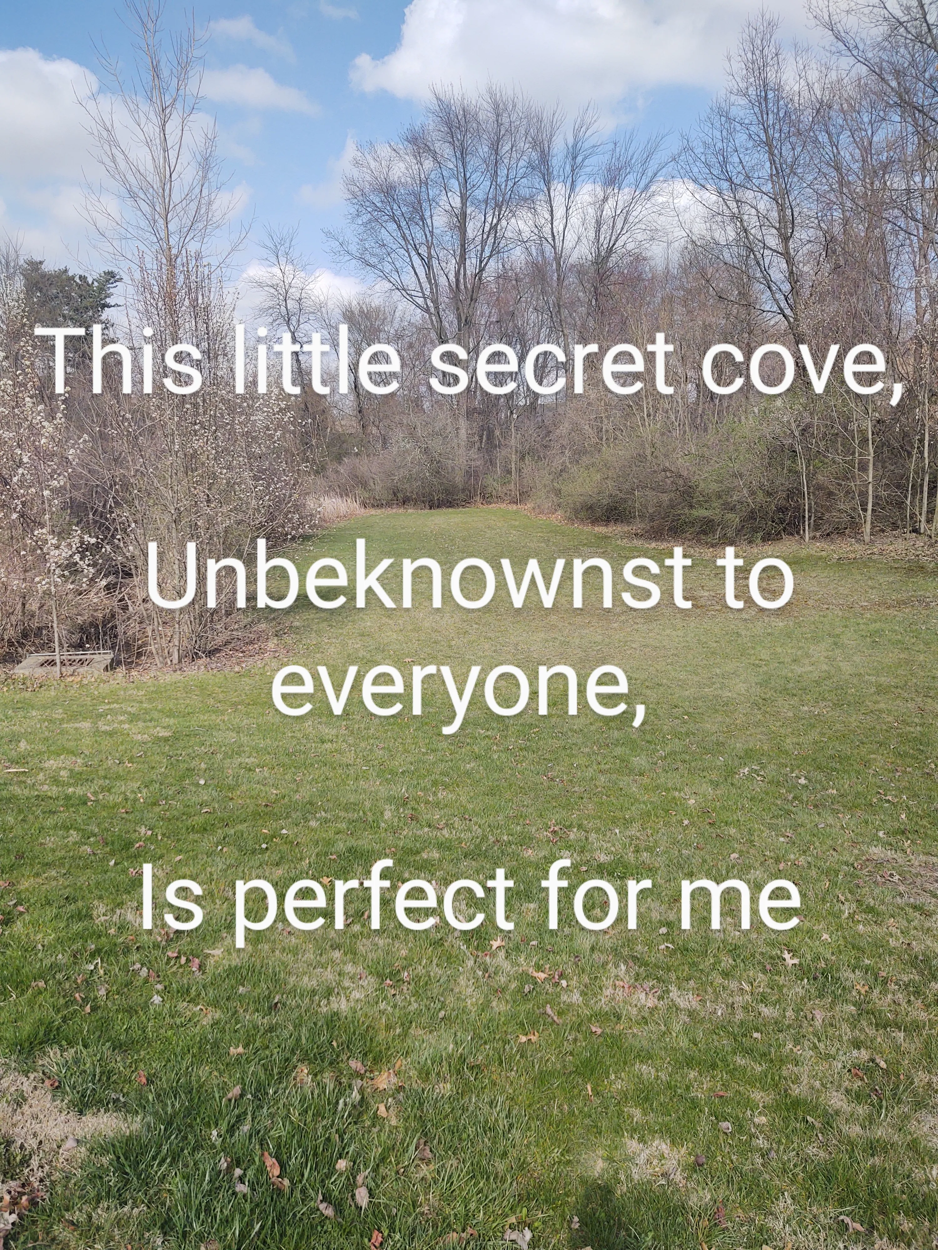 I Wrote A Series.of Haikus To Go With Photos Of.local Scenery I Took