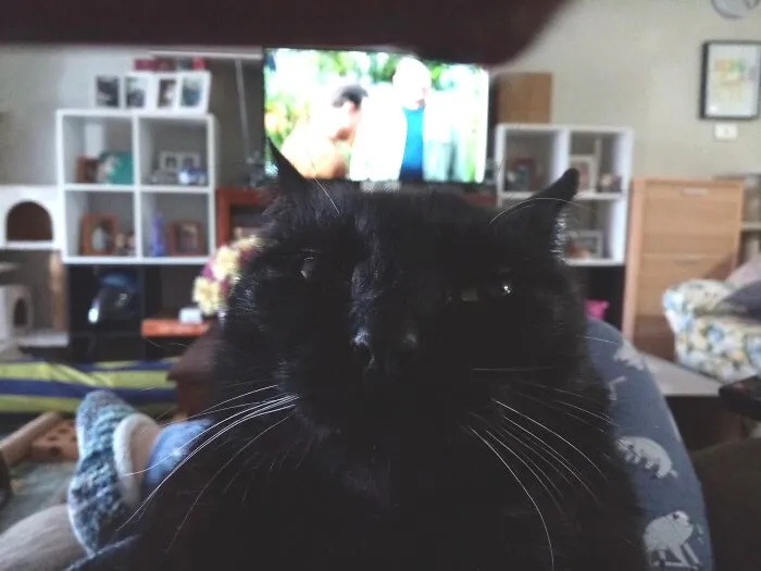 Jonah Loves The Camera