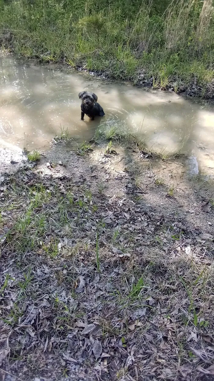 Any Water Will Do!