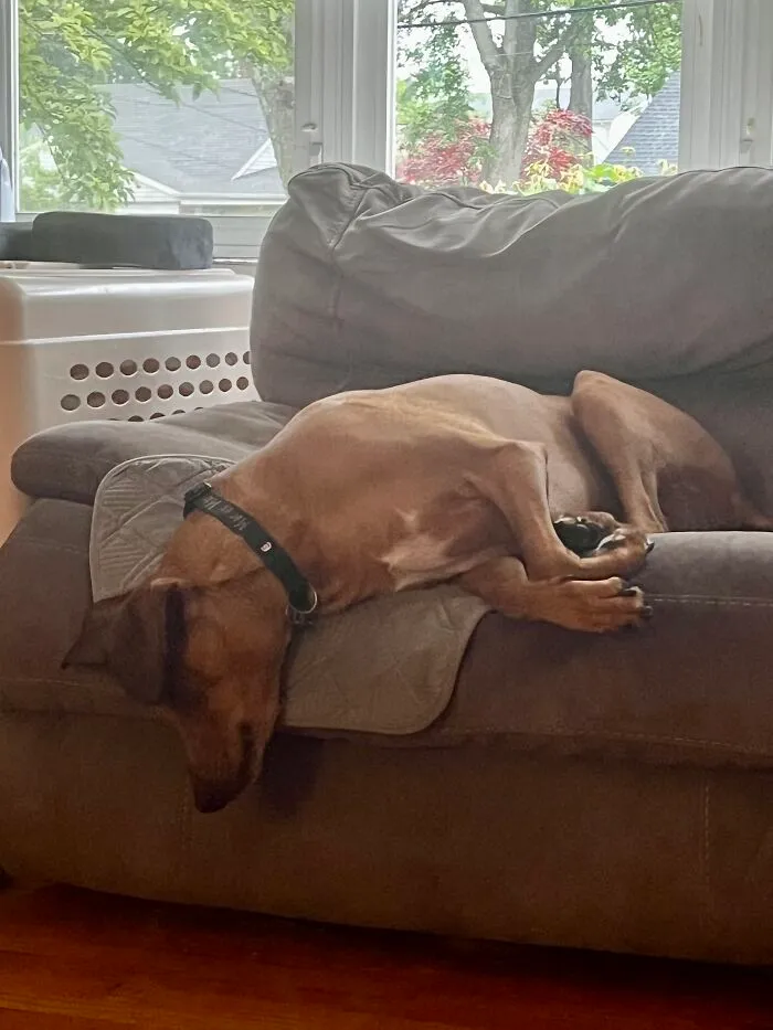 Stayed Like This For Half An Hour…