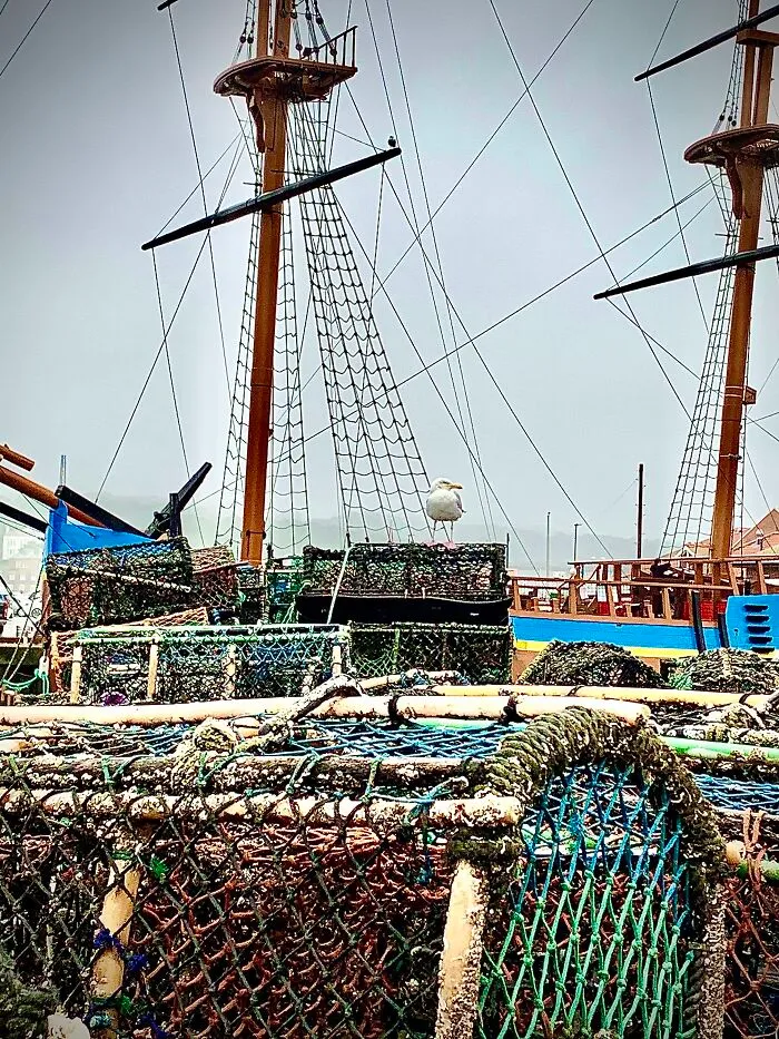 Captain Cook’s Ship