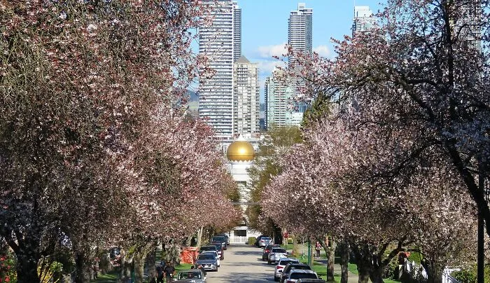 Vancouver, The Picture Was Taken By My Best Friend