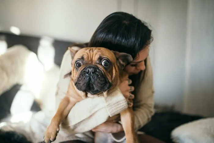 He Does Not Like Human Contact