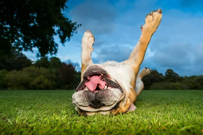When Mom Says “Go Touch Grass”