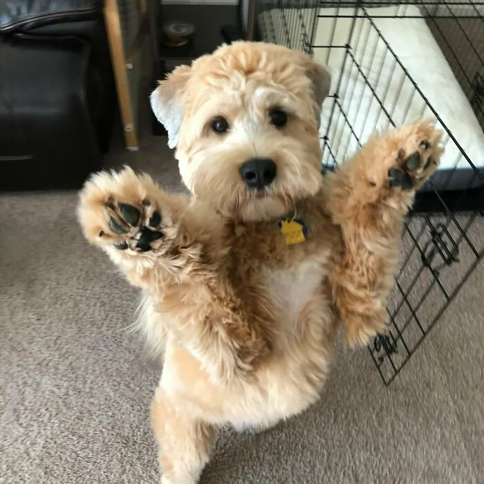 Can A Have A Hug?