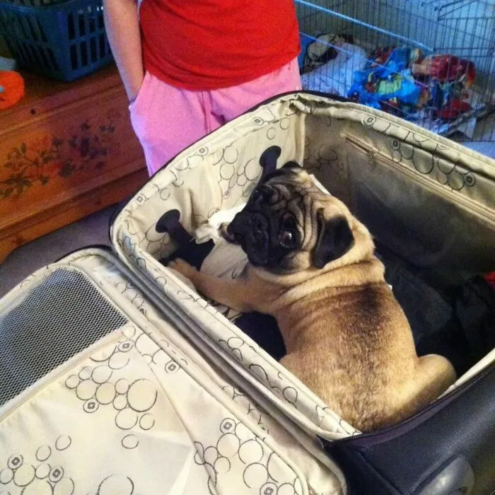 Mom! Do Not Forget For The Trip!
