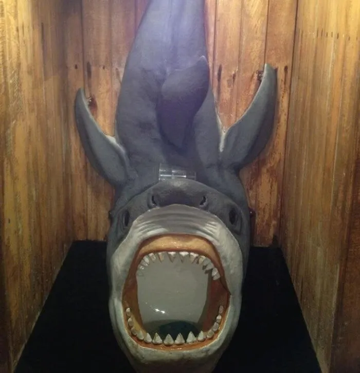 I Found This Toliet On Google . Who On Earth Made This??!!!