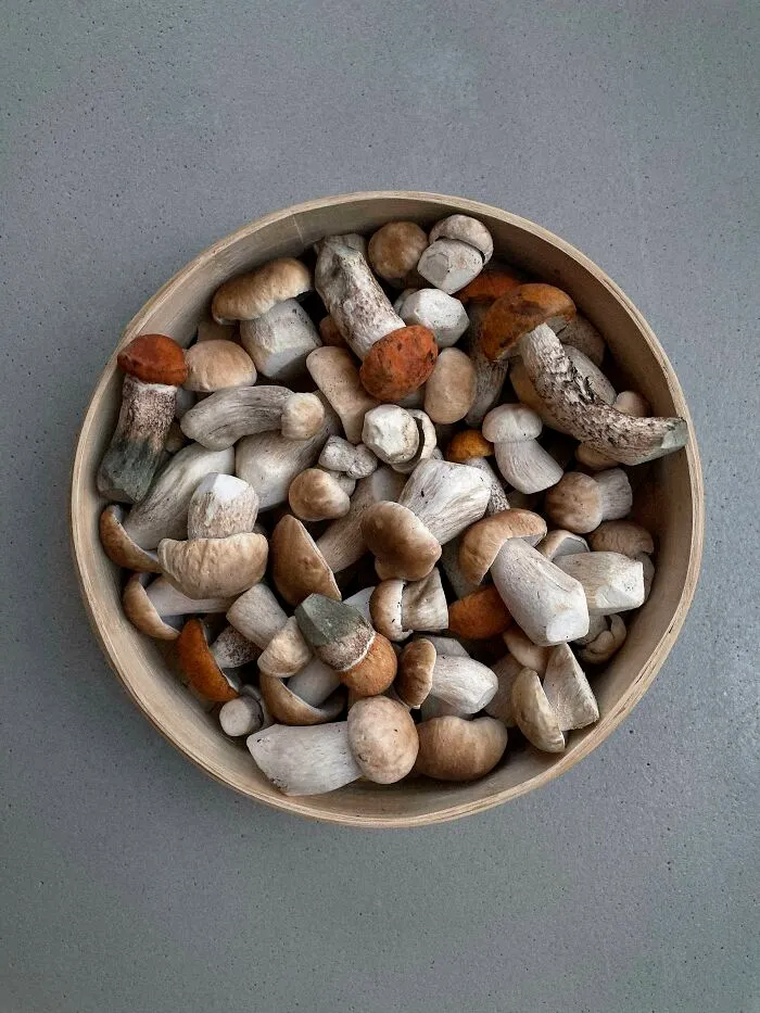 I Create Mushroom Flatlays, And Here Are My 40 Best Photographs Of Them