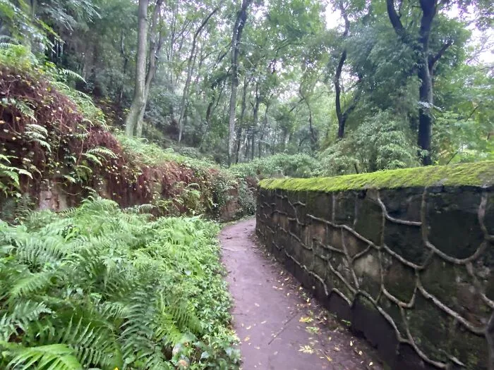 Walking A Nature Trail In China, Listening To A 1973 Grateful (Unalive) Concert
