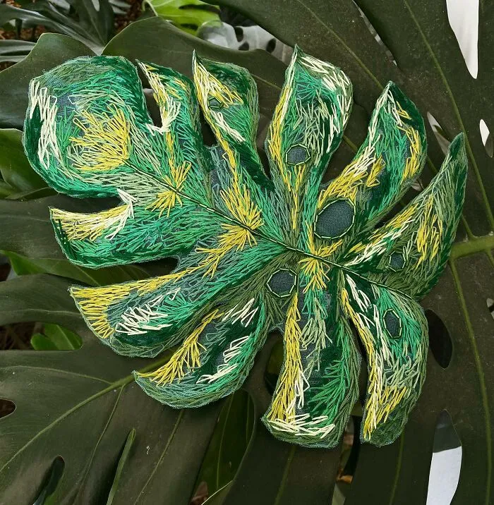 Monstera Leaf
