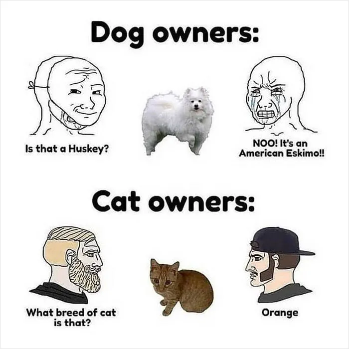 In Case You’re Having A Bad Day, Here Are 35 Hilarious Memes Shared By “Meme Lord” Instagram Account