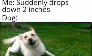 In Case You’re Having A Bad Day, Here Are 35 Hilarious Memes Shared By “Meme Lord” Instagram Account