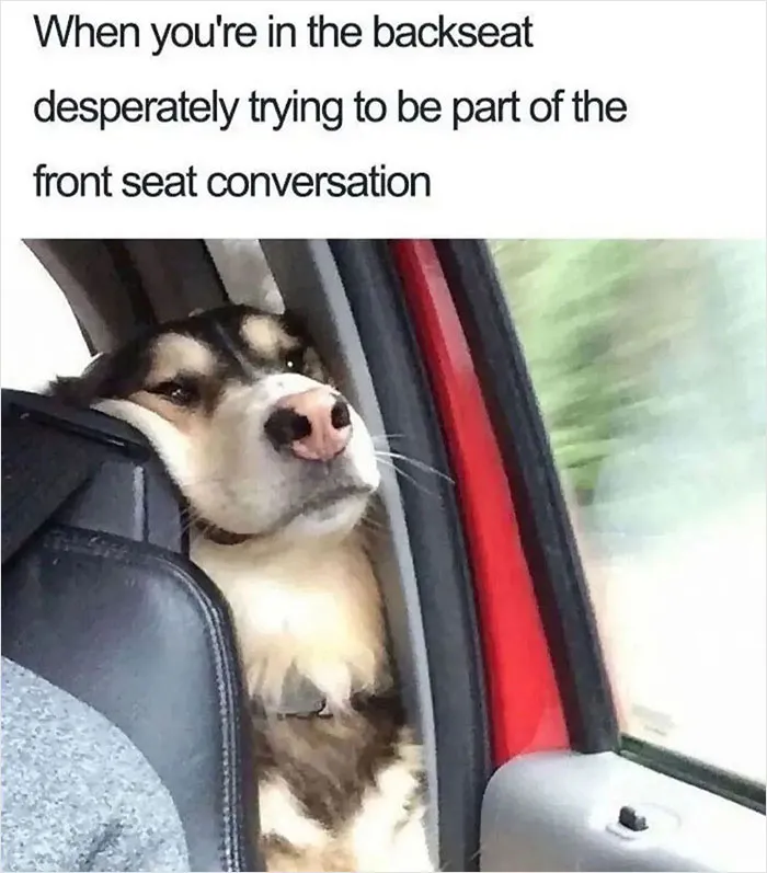 In Case You’re Having A Bad Day, Here Are 35 Hilarious Memes Shared By “Meme Lord” Instagram Account