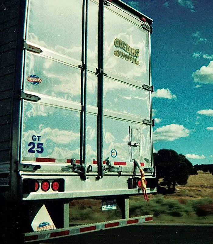 Meanwhile In New Mexico, A Chicken Tries To Make An Escape…