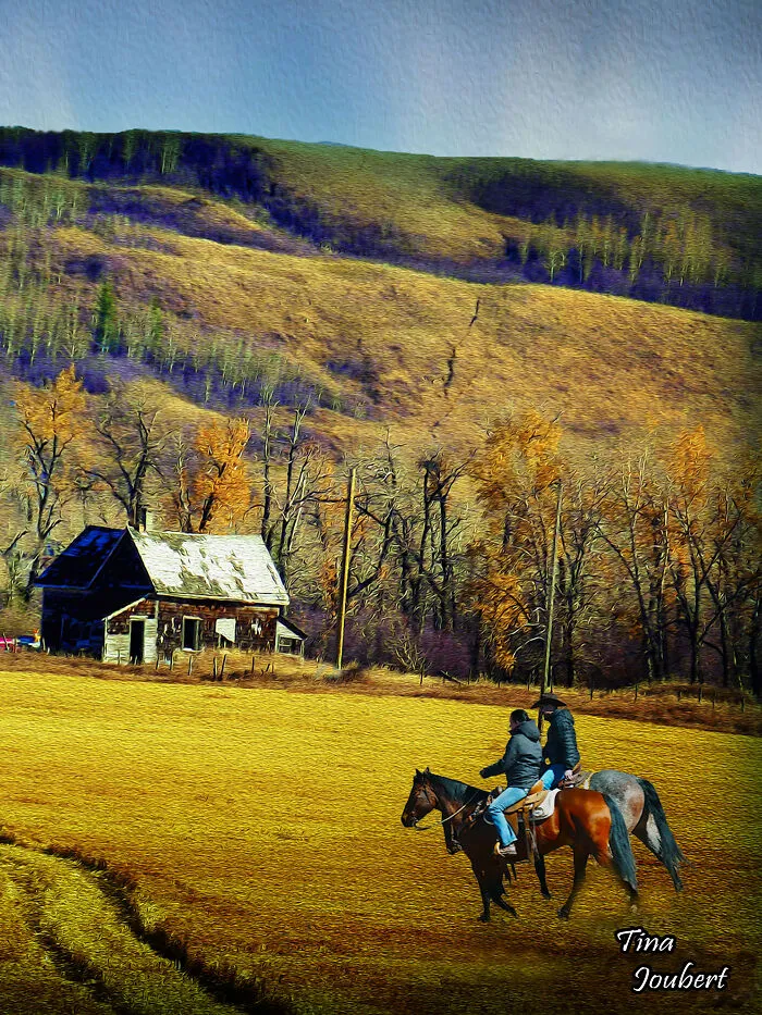 Riding The Golden  Feilds