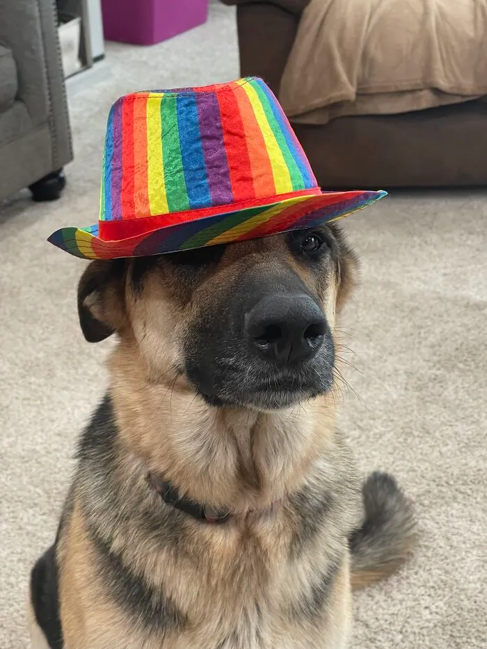 Dapper Axel