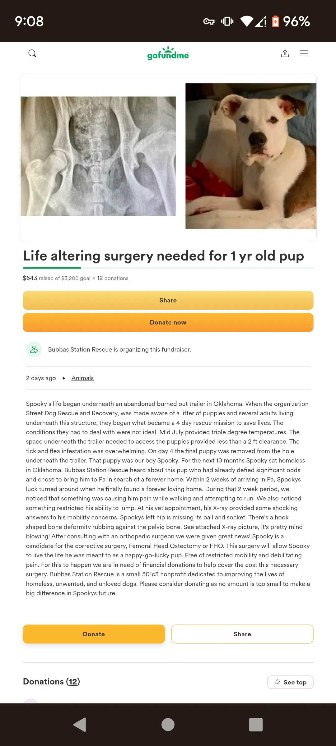 Please Help Our Pup