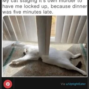🤩🤯🤔🤣 🤣🤯