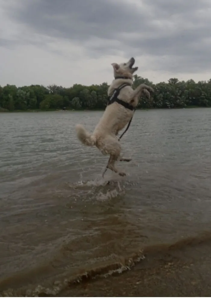 Maybe He Thinks He's Like Jesus So He Can Walk On Water :)