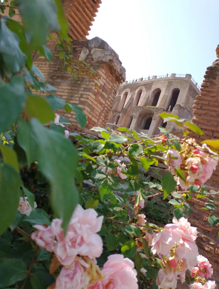 Rome