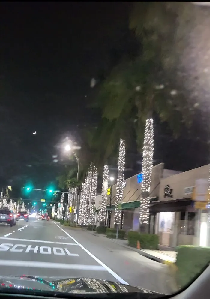 Miami Nights