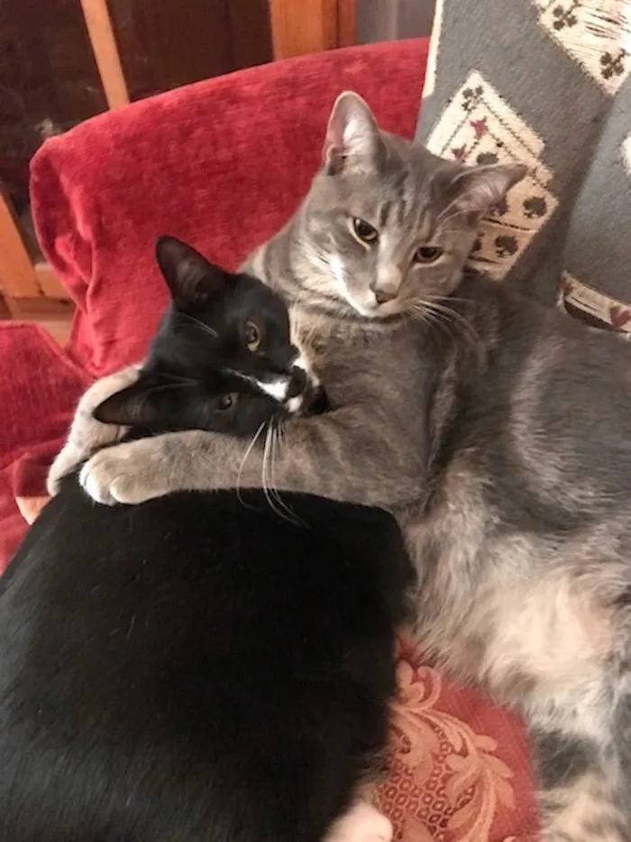 T&t...best Friends Forever