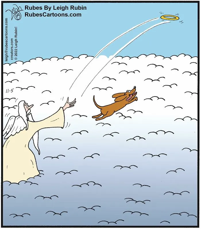 45 Humorous Comics By Leigh Rubin That Might Make You Laugh (New Pics)