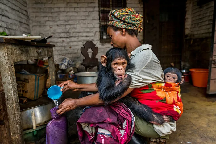 Human/Nature Finalist - "Tucked In" By Marcus Westberg