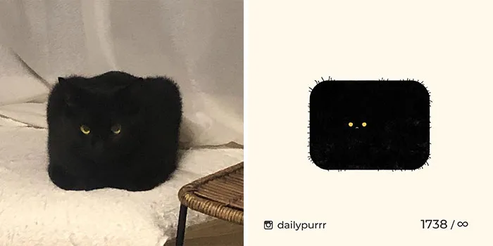 30 Of The Funniest Internet-Famous Cat Pics Get Illustrated By Daily Purrr (New Pics)