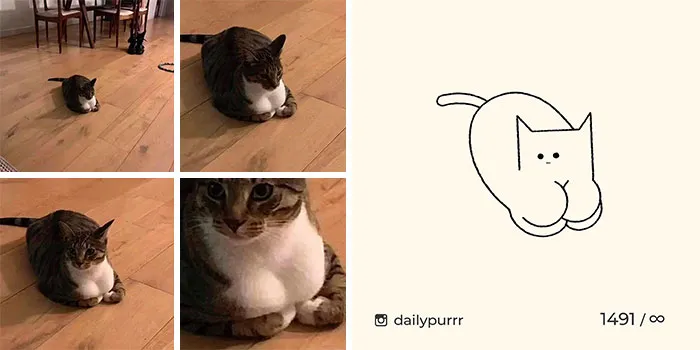 30 Of The Funniest Internet-Famous Cat Pics Get Illustrated By Daily Purrr (New Pics)