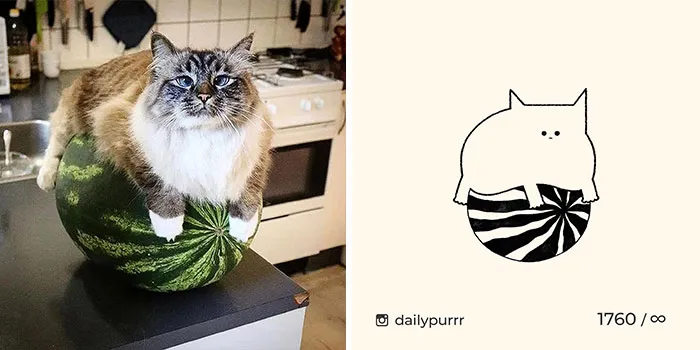 30 Of The Funniest Internet-Famous Cat Pics Get Illustrated By Daily Purrr (New Pics)