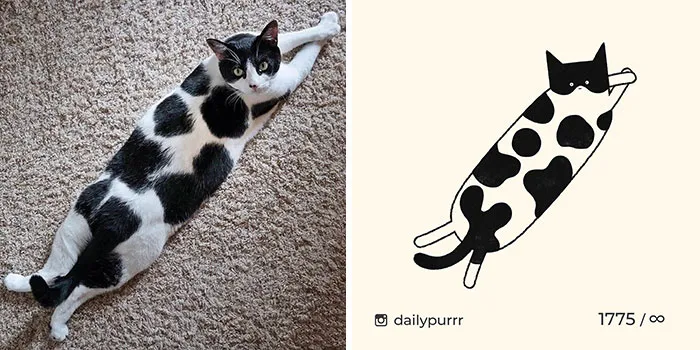 30 Of The Funniest Internet-Famous Cat Pics Get Illustrated By Daily Purrr (New Pics)