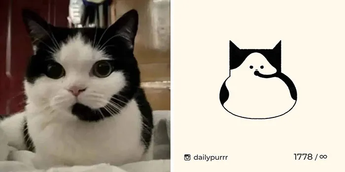 30 Of The Funniest Internet-Famous Cat Pics Get Illustrated By Daily Purrr (New Pics)