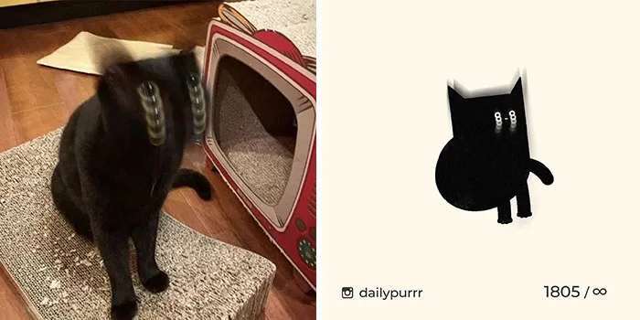 30 Of The Funniest Internet-Famous Cat Pics Get Illustrated By Daily Purrr (New Pics)