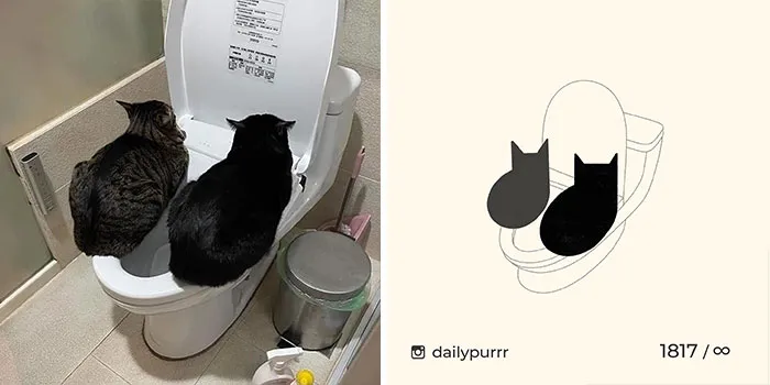 30 Of The Funniest Internet-Famous Cat Pics Get Illustrated By Daily Purrr (New Pics)