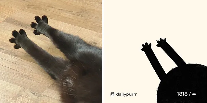 30 Of The Funniest Internet-Famous Cat Pics Get Illustrated By Daily Purrr (New Pics)