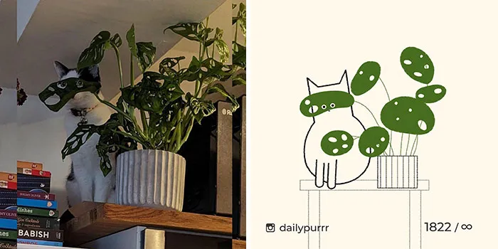 30 Of The Funniest Internet-Famous Cat Pics Get Illustrated By Daily Purrr (New Pics)