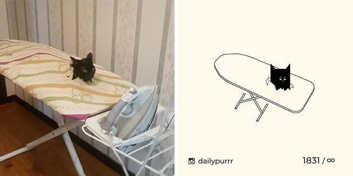30 Of The Funniest Internet-Famous Cat Pics Get Illustrated By Daily Purrr (New Pics)