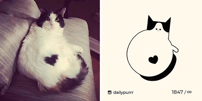 30 Of The Funniest Internet-Famous Cat Pics Get Illustrated By Daily Purrr (New Pics)