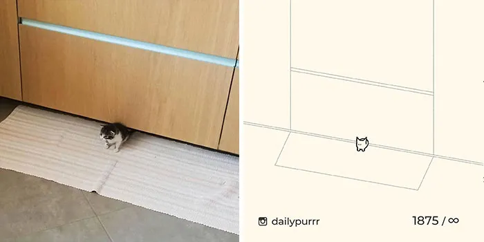 30 Of The Funniest Internet-Famous Cat Pics Get Illustrated By Daily Purrr (New Pics)