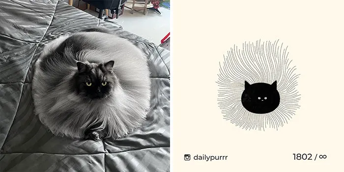 30 Of The Funniest Internet-Famous Cat Pics Get Illustrated By Daily Purrr (New Pics)