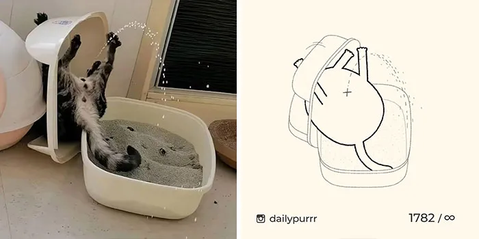 30 Of The Funniest Internet-Famous Cat Pics Get Illustrated By Daily Purrr (New Pics)