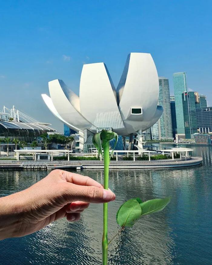 A hand holds a green stem, aligning it with a lotus-shaped building to create an illusion and change what we see.