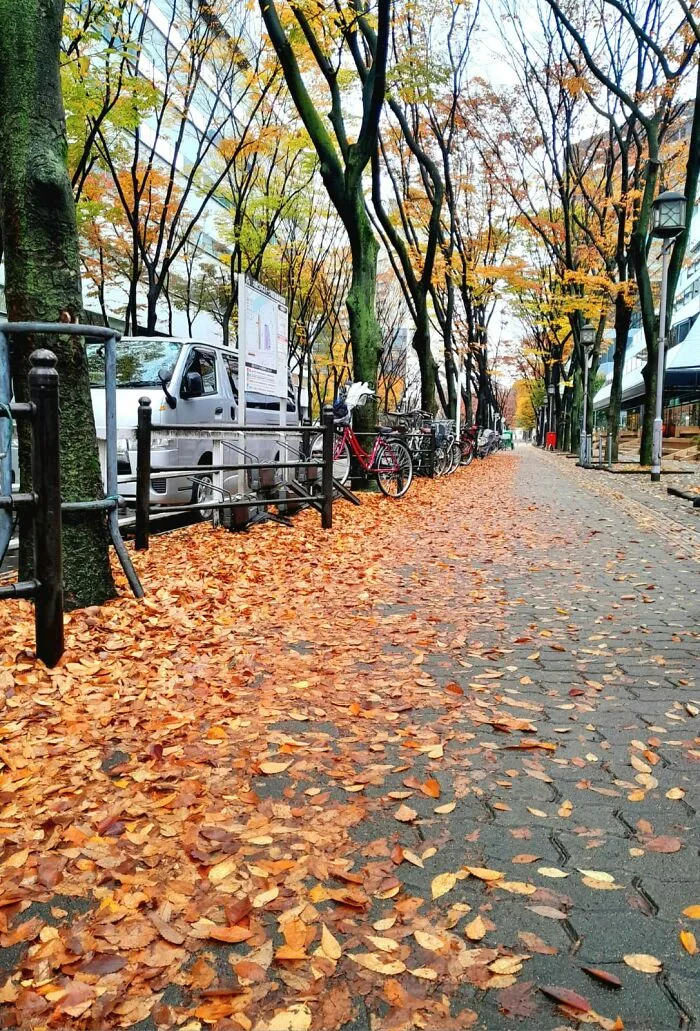 Japan, Osaka