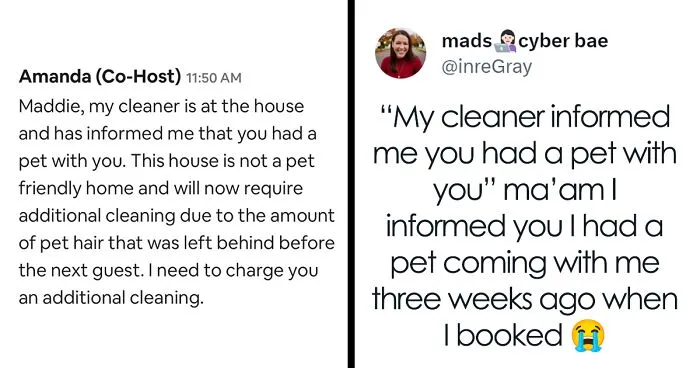 Airbnb Host Tries Gaslighting Guest About Their Pet Policy To Extract More Money, Blames It On A 'Glitch' After Being Proven Wrong