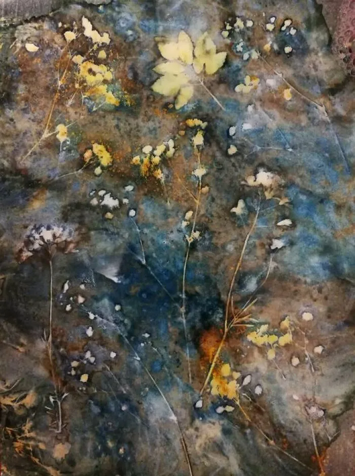 Wet Cyanotype