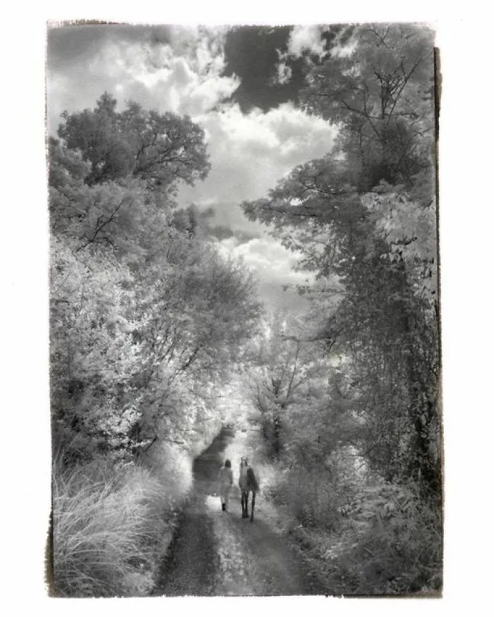 Iron-Process Print